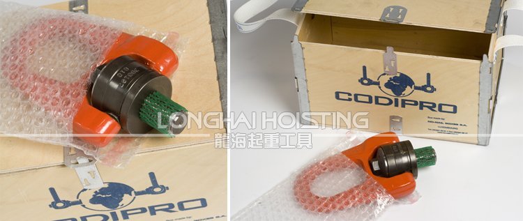 盧森堡CODIPRO吊環(huán)圖片 FE.DSR萬向旋轉(zhuǎn)吊環(huán)圖片