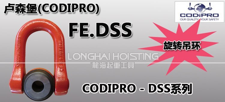 盧森堡FE.DSS旋轉(zhuǎn)吊環(huán) 盧森堡FE.DSS旋轉(zhuǎn)吊環(huán)