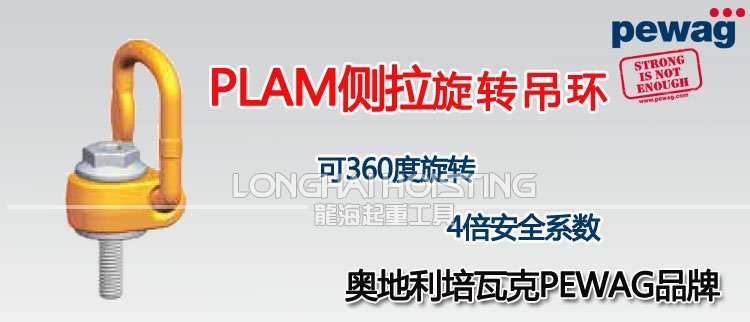 PLAM培瓦克側(cè)拉旋轉(zhuǎn)吊環(huán) PLAM培瓦克側(cè)拉旋轉(zhuǎn)吊環(huán)