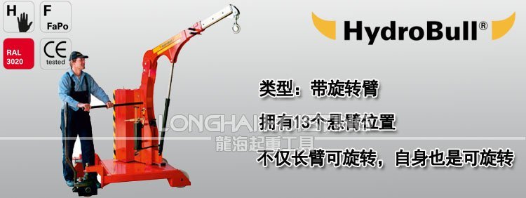 德國帶旋轉(zhuǎn)臂工業(yè)液壓小吊車 德國帶旋轉(zhuǎn)臂工業(yè)液壓小吊車