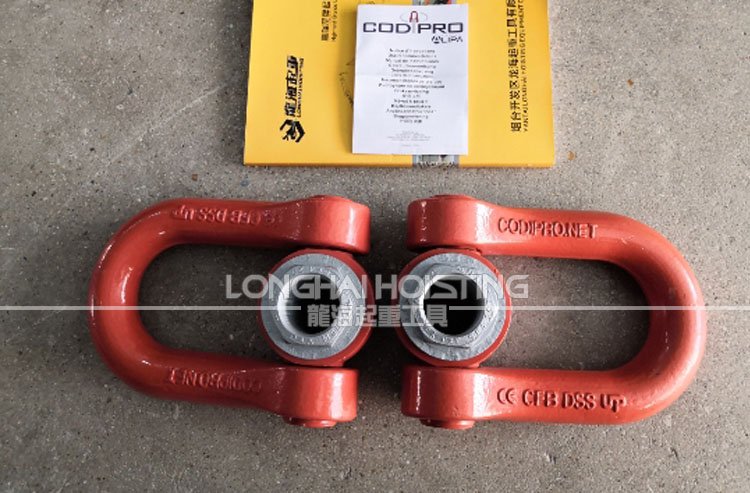 DSS盧森堡CODIPRO旋轉(zhuǎn)吊環(huán) DSS盧森堡CODIPRO旋轉(zhuǎn)吊環(huán)